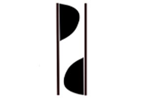 Pro Saz